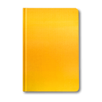 Bundle - Dailygreatness Original, Deskpad, and Yellow Notebook - Dailygreatness AU