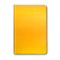 DG Notebook Yellow - Dailygreatness AU